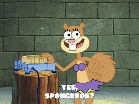 season 8 spongebob's runaway roadtrip: mooncation GIF by SpongeBob SquarePants