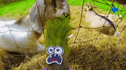 Happy Art Ninja GIF by Mola TV Kids