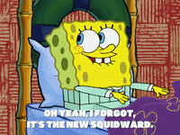 season 5 to love a patty GIF by SpongeBob SquarePants