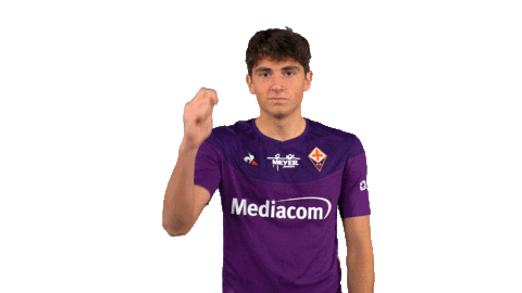 Card Referee Sticker by ACF Fiorentina