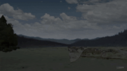 Visual Effects Film GIF by ActionVFX