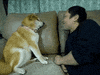 kiss me no GIF