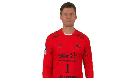 Handball-Bundesliga Fun Sticker by LIQUI MOLY HBL