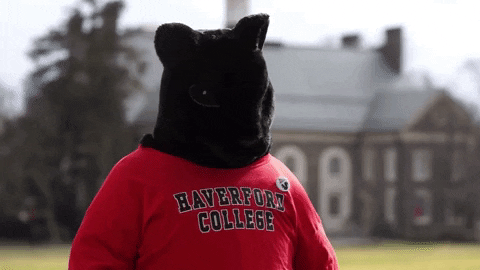 Oh No Reaction GIF by Haverford College