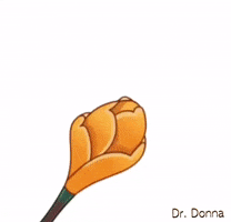happy surprise GIF by Dr. Donna Thomas Rodgers