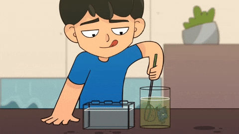 Animation Keeping GIF