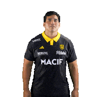 Rugby Larochelle Sticker by Stade Rochelais