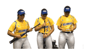 Friends Celebrate Sticker by Delaware Blue Hens