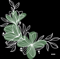 GIF by Casa Festa