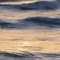 Suspicious Facial Expression GIF
