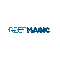 Great Barrier Reef Magic Sticker by Experience Co