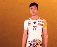 Volleyball Smile GIF by trefl_gdansk