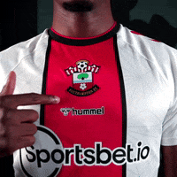 Premier League Football GIF by Southampton FC