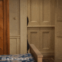 Sandra Bullock Peak GIF by Warner Bros. Pictures