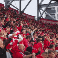 Football Soccer GIF by Widzew Łódź