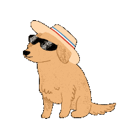 Fiestas Patrias Chile Sticker by INJUV