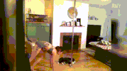 stripper fail GIF
