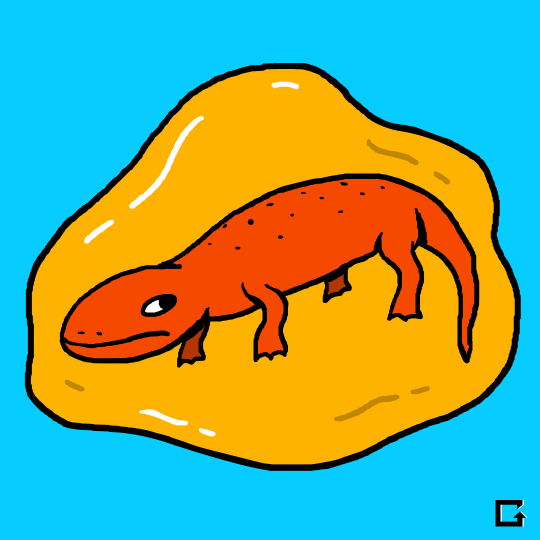 salamander fossils GIF by gifnews