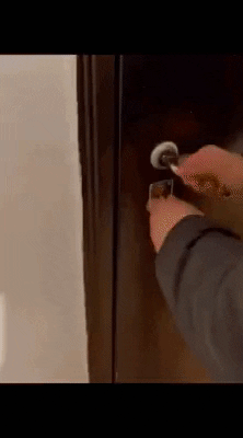 cuteanimalland giphyupload GIF