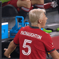 Bmo Field No GIF by Toronto FC