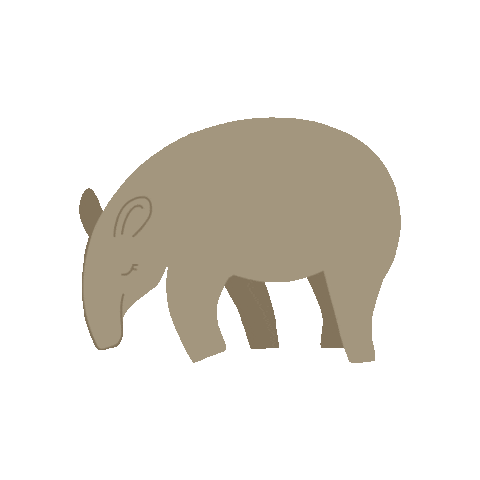 grupoliberamx animal caminar caminando tapir Sticker