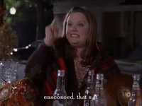 season 3 netflix GIF by Gilmore Girls 