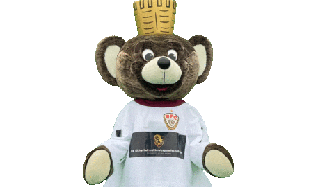 Clap Celebrate Sticker by BFC Dynamo