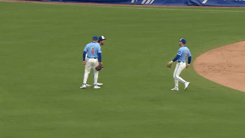 High Five Chicago Cubs GIF by TheDreamTeam 