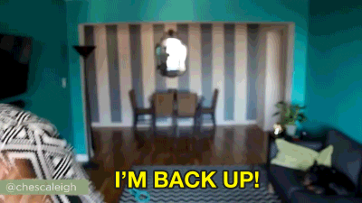 Franchesca Ramsey Falling GIF by chescaleigh
