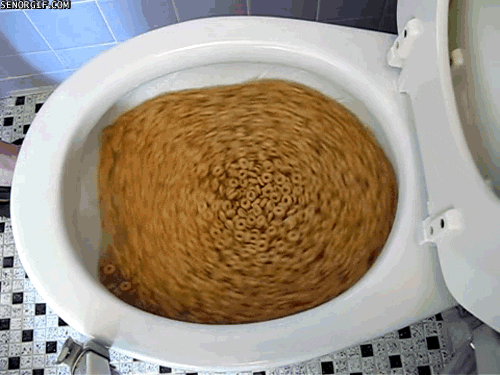how the toilet GIF by Cheezburger