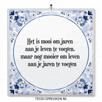 Humor Reflectie GIF by Tegelspreuken.nl