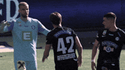 Happy Football GIF by SK Sturm Graz