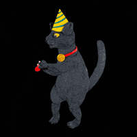 Cat Birthday GIF by camphollow