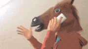 Horses Seo GIF by Kiwosan