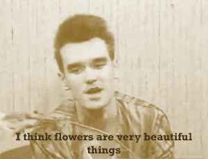 the smiths flower GIF