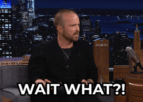 Tonight Show What GIF by The Tonight Show Starring Jimmy Fallon