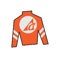 Horse Racing Sticker by Kentucky Derby