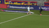 Celebrate Womens Soccer GIF by National Women's Soccer League