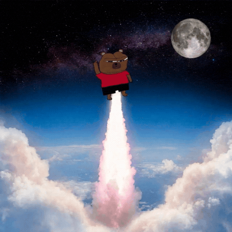 Pumping Mooning GIF by Bear Market Memes