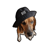 bigsportscars love dog puppy pet Sticker