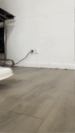 BuenDestino giphygifmaker GIF