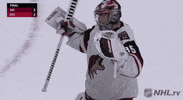 ice hockey hug GIF by NHL