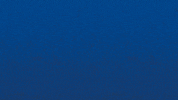 Bourg En Bresse Win GIF by Football Bourg-en-Bresse Péronnas 01