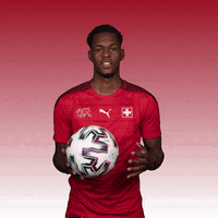 Euro 2020 Football GIF by UEFA