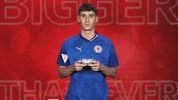 Eintracht Braunschweig Vbl GIF by Bundesliga