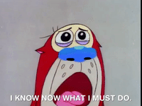 Ren And Stimpy Nicksplat GIF by NickRewind