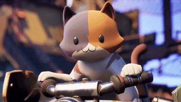 Kit