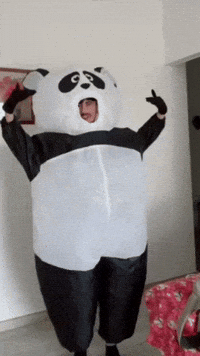 Panda Dancing GIF