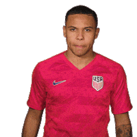 us soccer celebration Sticker by U.S. Soccer Federation