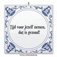 Humor Nl GIF by Tegelspreuken.nl
